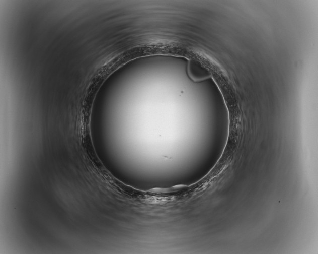 X0000096190869200801181319