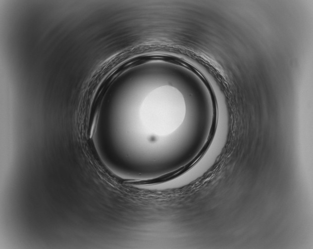 X0000096190872200801181319