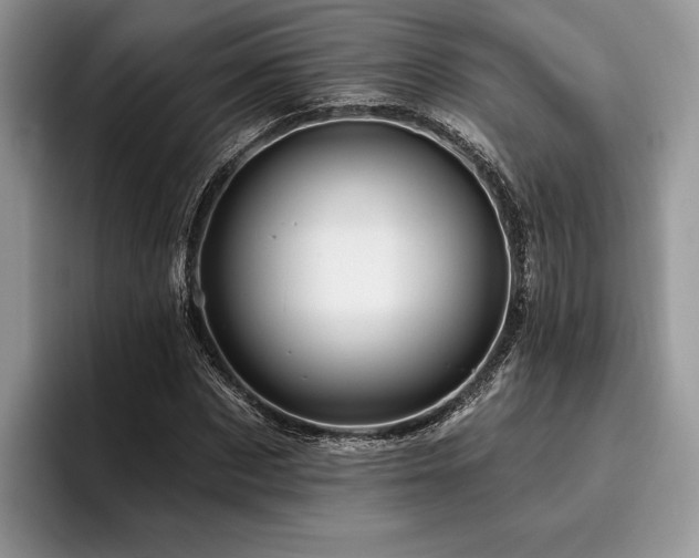 X0000096190873200801181319