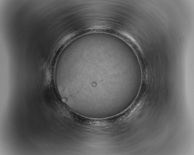 X0000096190874200801181319