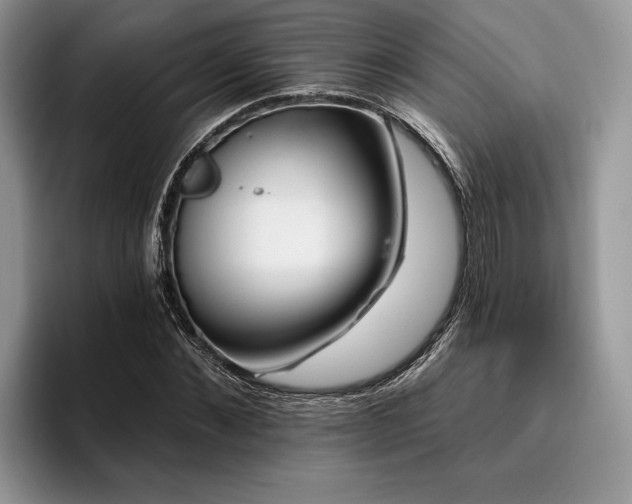 X0000096190876200801181319