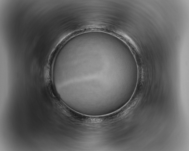 X0000096190878200801181319