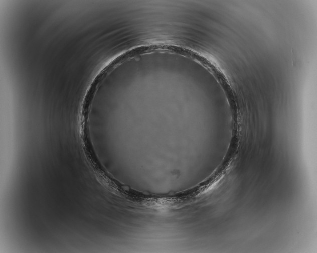 X0000096190879200801181319