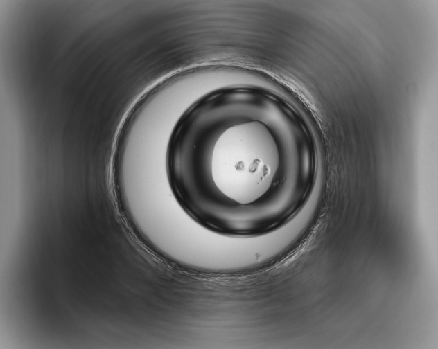 X0000096190880200801181319
