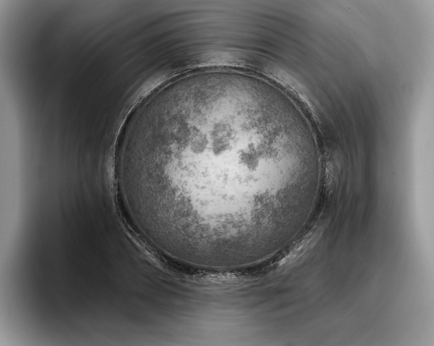 X0000096190882200801181319