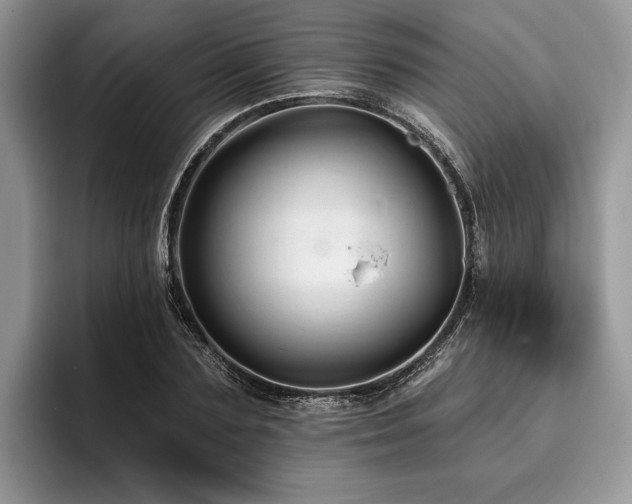 X0000096190883200801181319