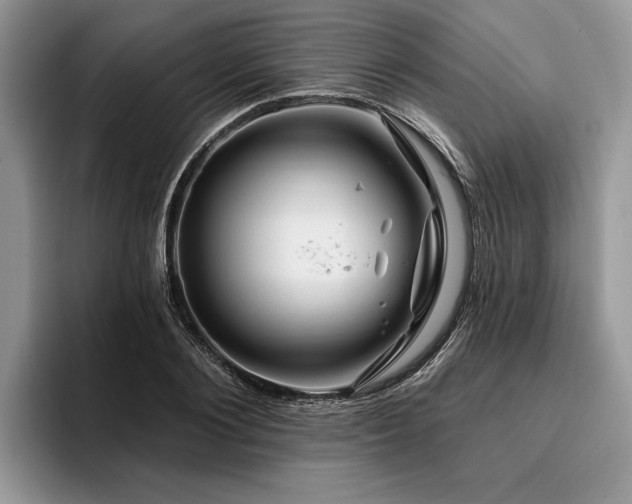 X0000096190884200801181319