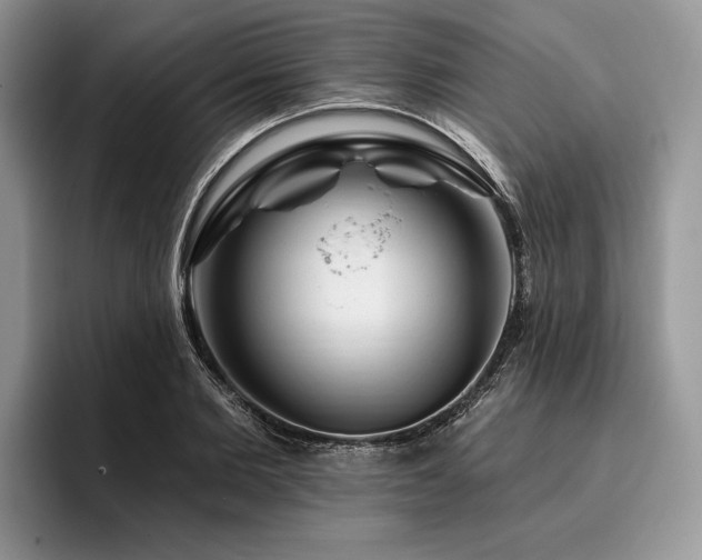 X0000096190885200801181319