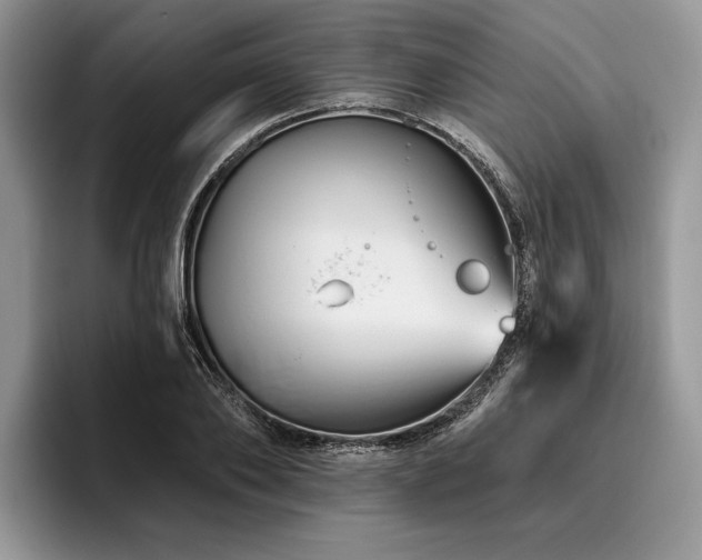 X0000096190886200801181319
