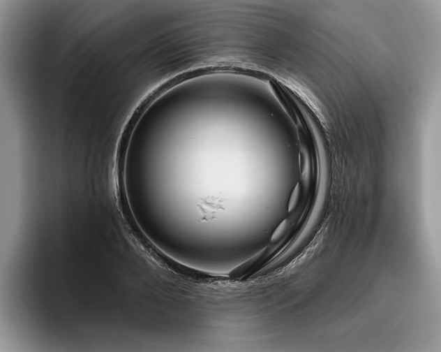 X0000096190888200801181319