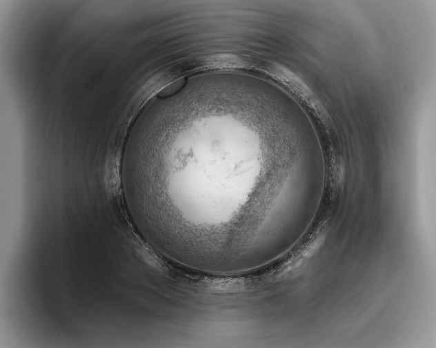 X0000096190889200801181319