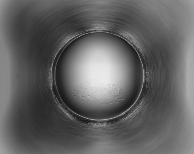 X0000096190890200801181319