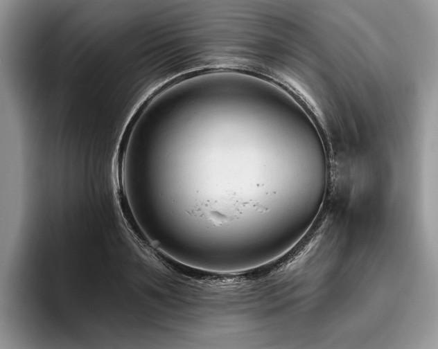 X0000096190891200801181319