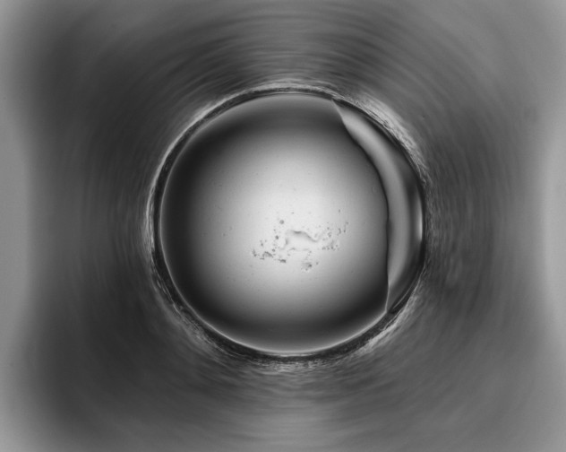 X0000096190892200801181318