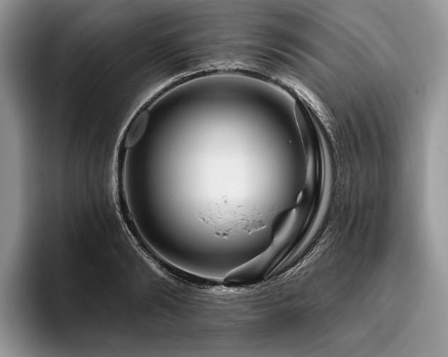 X0000096190894200801181318