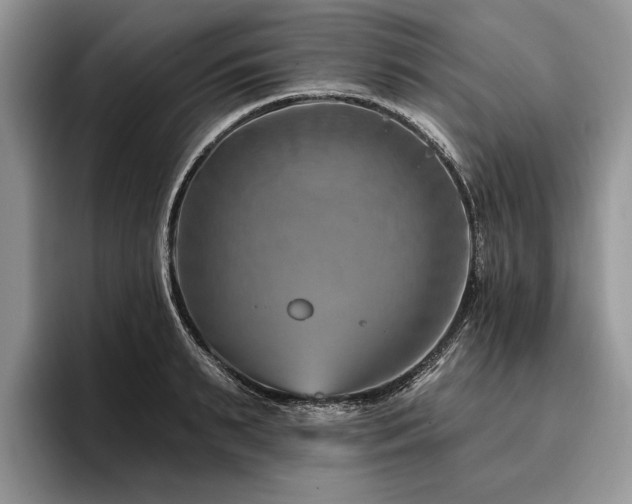 X0000096190895200801181318