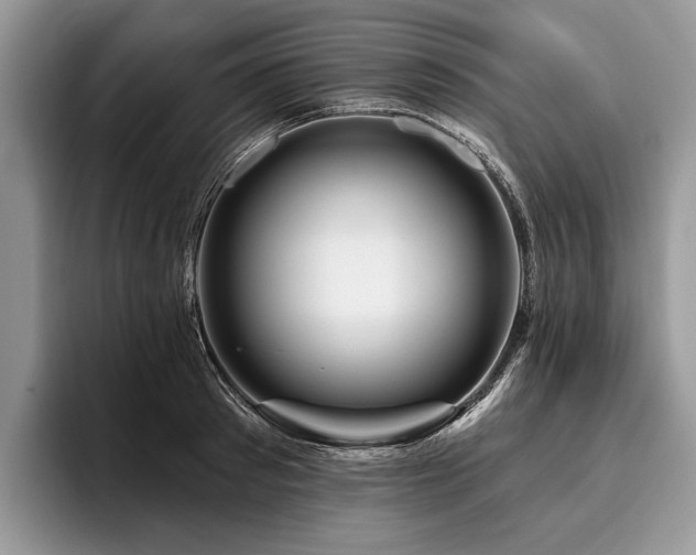 X0000096190897200801181318