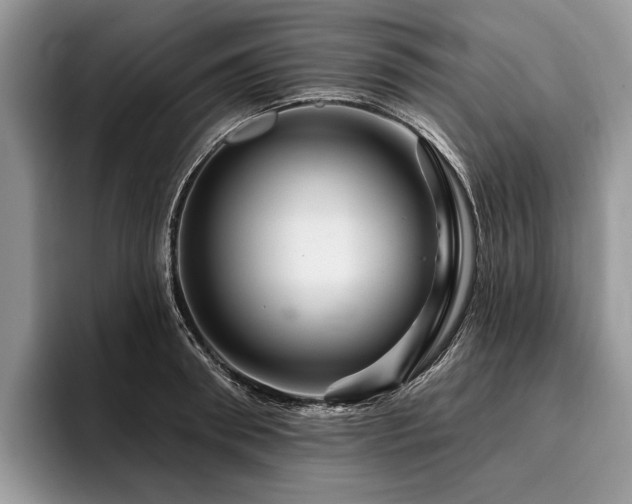 X0000096190898200801181318