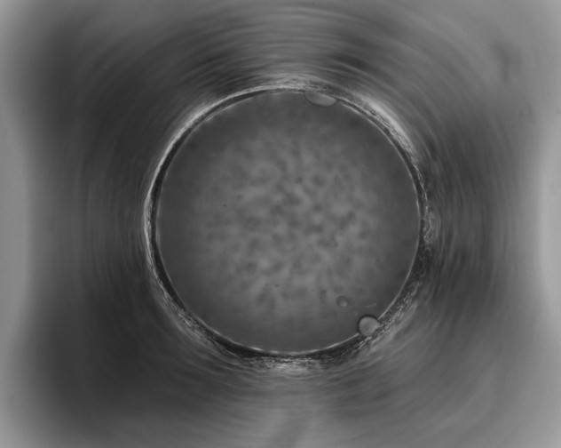 X0000096190899200801181318
