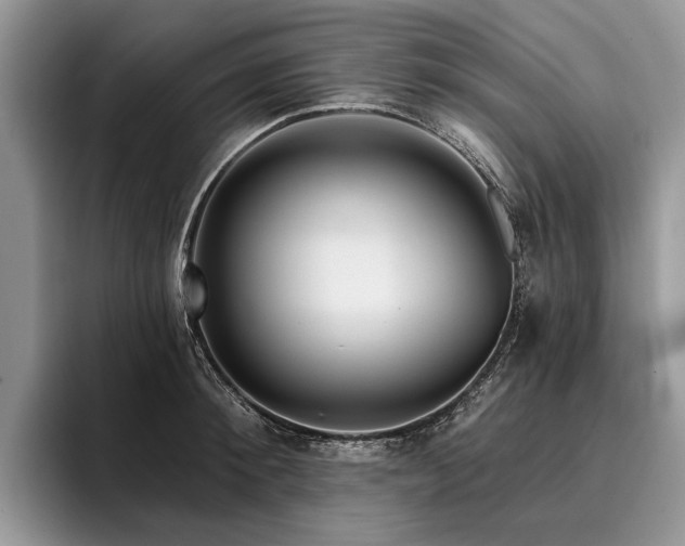 X0000096190900200801181318