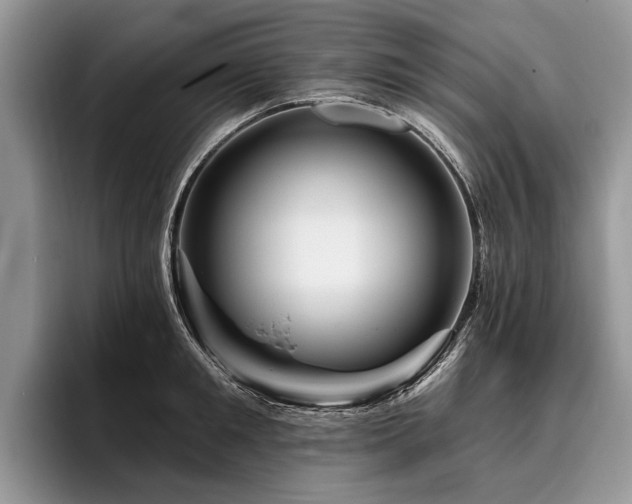 X0000096190901200801181318