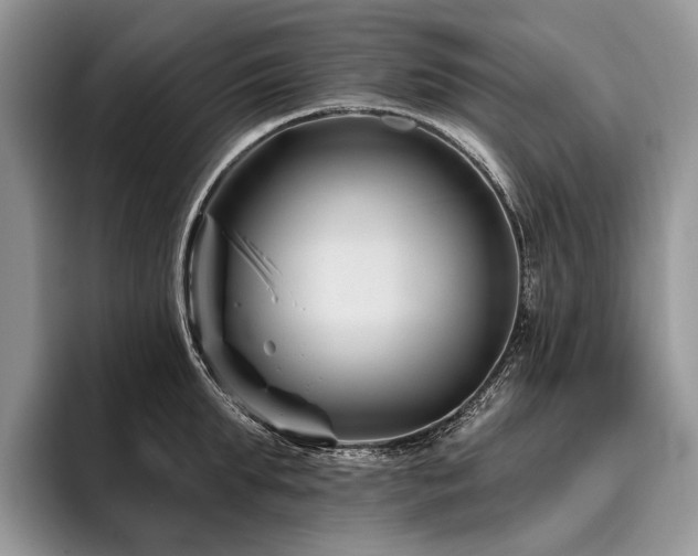 X0000096190903200801181318