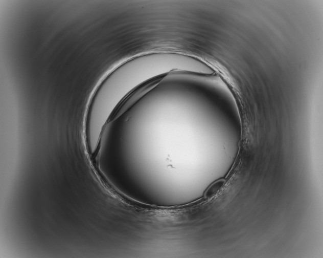 X0000096190904200801181318