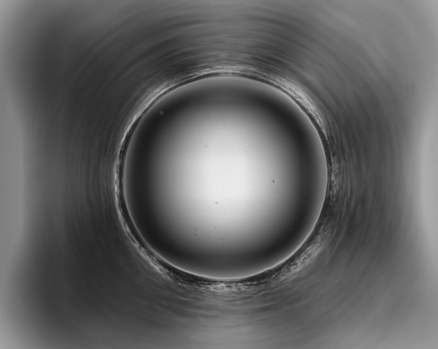 X0000096190906200801181318