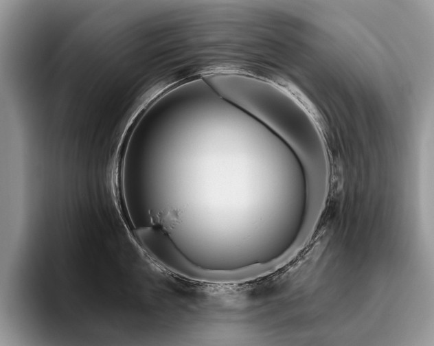 X0000096190909200801181318