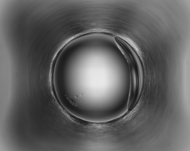 X0000096190910200801181318