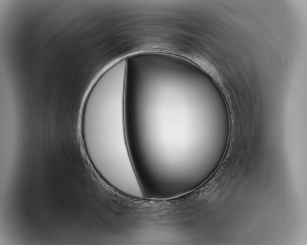 X0000096190912200801181318
