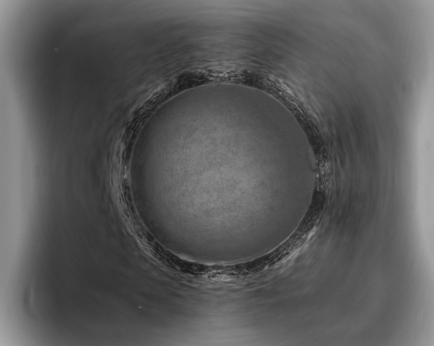 X0000096190913200801181318