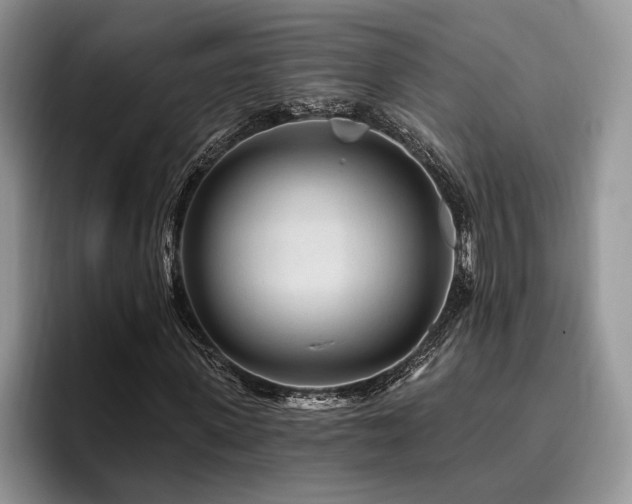 X0000096190915200801181318
