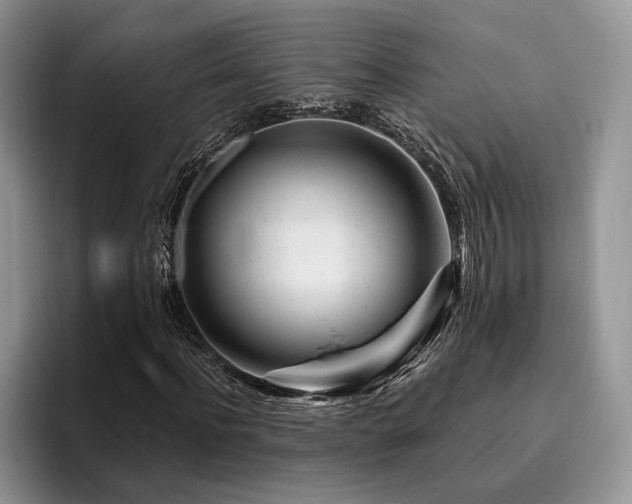 X0000096190916200801181318