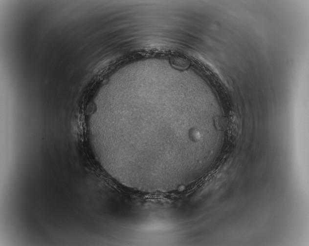 X0000096190918200801181318