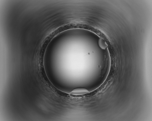 X0000096190919200801181318