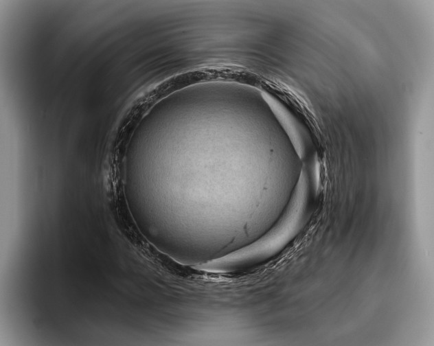 X0000096190920200801181318