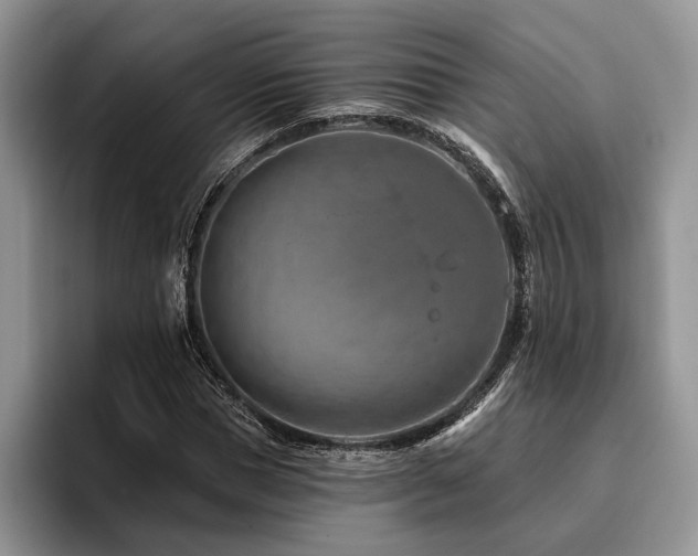 X0000096190921200801181318
