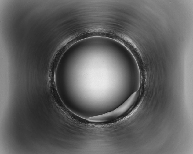 X0000096190922200801181318