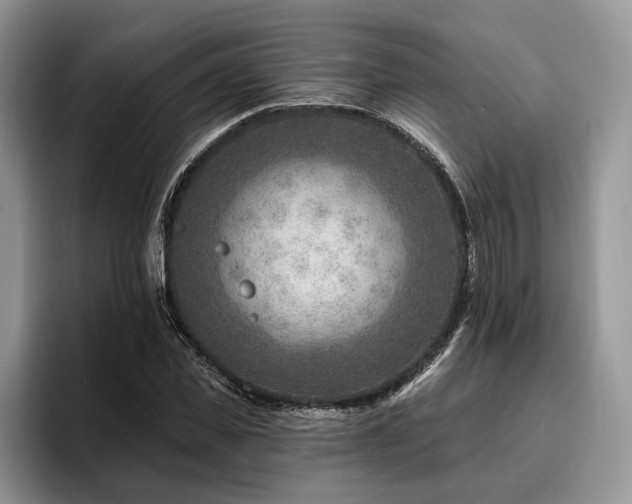 X0000096190925200801181318