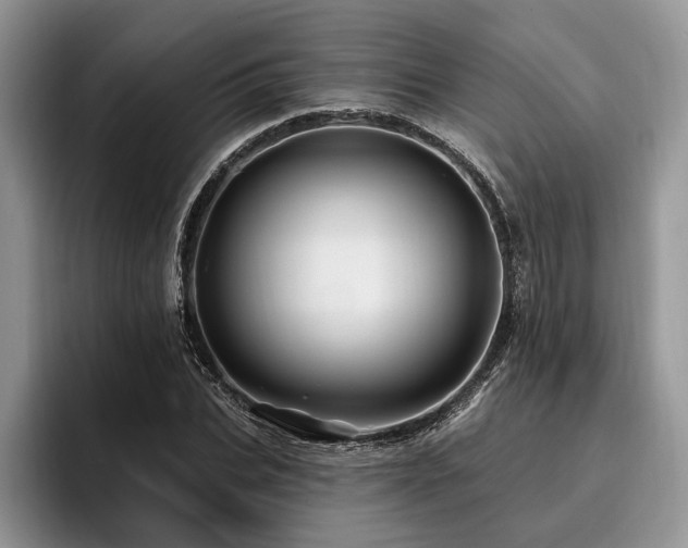 X0000096190927200801181318