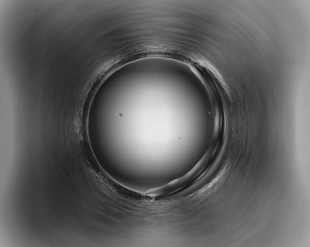 X0000096190930200801181318