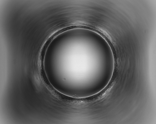 X0000096190931200801181318