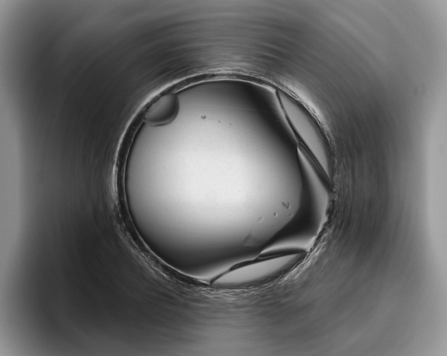 X0000096190932200801181318