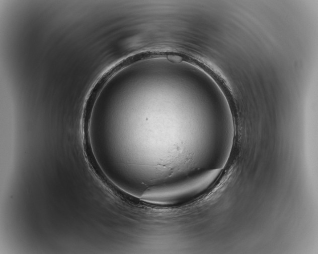 X0000096190935200801181318