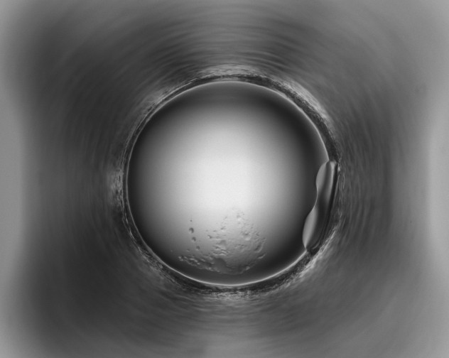 X0000096190937200801181318