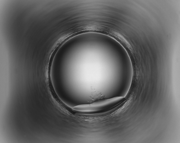X0000096190938200801181318
