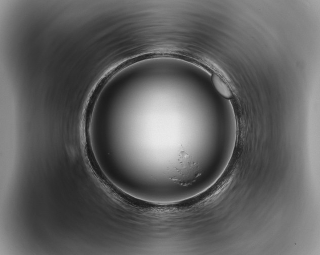 X0000096190939200801181318