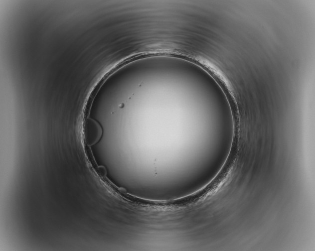 X0000096190941200801181318