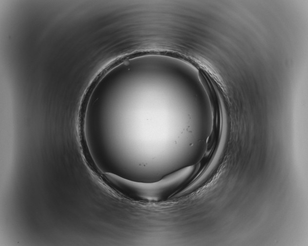 X0000096190942200801181318